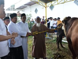 Masjid Agung Sumedang Terima Sapi Kurban 1 Ton dari Presiden Prabowo