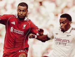 Tinggalkan Liverpool, Cody Gakpo Selangkah Lagi Gabung Spurs