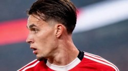 Newcastle Rekrut Amar Dedić dari Benfica