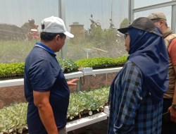 Green House Hadir di Geotheater Rancakalong Sumedang, Perkuat Kolaborasi Unpad dan Petani